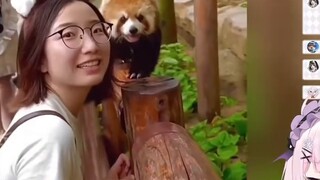 Japanese girl was overwhelmed by the cute little panda!!