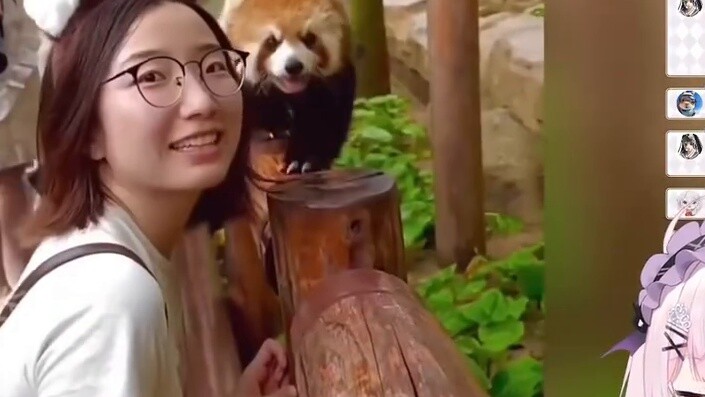 Japanese girl was overwhelmed by the cute little panda!!