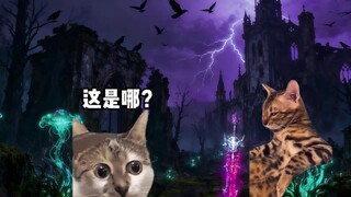 Pilihan kekuatan konsep, kali ini saya menang