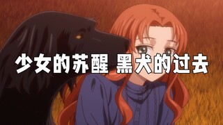 【动漫推荐】魔法使的新娘！少女的苏醒，黑犬的过去！