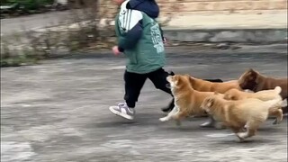 How is the little dog that grew up with you now?