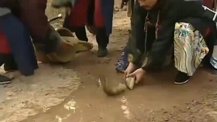 Pemuda ini menyelamatkan seekor ikan mas, tak disangka justru karena hal itu ia diangkat menjadi utu