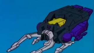 [Transformers Khoa học đại chúng/Trò chuyện linh tinh] Tập 66 - Trải nghiệm cuộc sống của loài côn t
