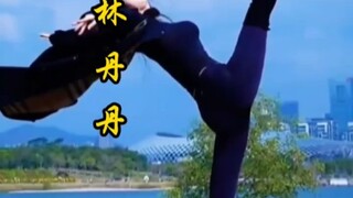 Mười hai bông hoa vàng của Đoàn ca múa nhạc Evergrande