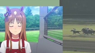 [6 menit Uma Musume: Prototipe Derby Cantik] Pelarian dari Dimensi Lain-Suzuka Sunyi [暴马Umado]——ｻｲﾚﾝ