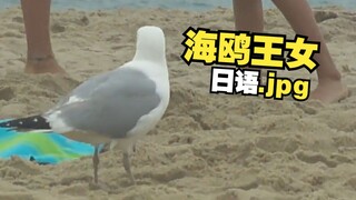 《画风突变の破防海鸥》
