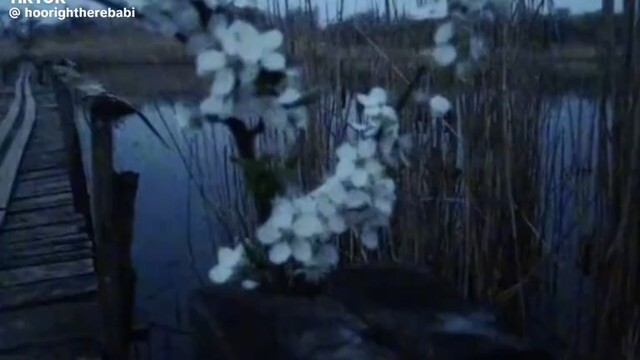 Mơ Màng-hoo