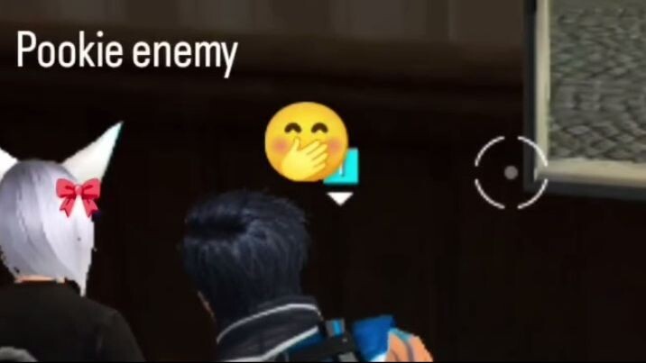 Free Fire video