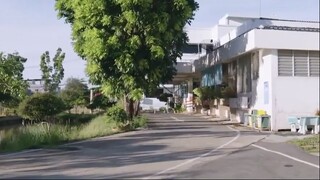ағбаи паланг 17 end