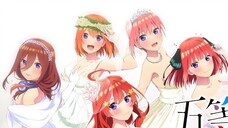 Khó chọn quá nên rước hết 5 em về nhà ~ [ AMV Gotoubun hanayome Movie ]