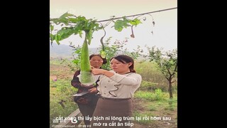 Review Cách Phân Biệt Con Tôm Với Con Tép Và Con Ruốc | Review Những Video Triệu View | Kênh Xàm TV