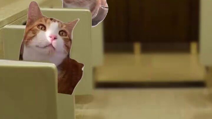 The underlying codes of boys#Cat meme theater#Abstract#Real restoration#npc#Funny