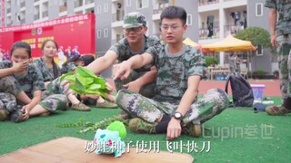 决定了就是你了 妙蛙种子使用飞叶快刀