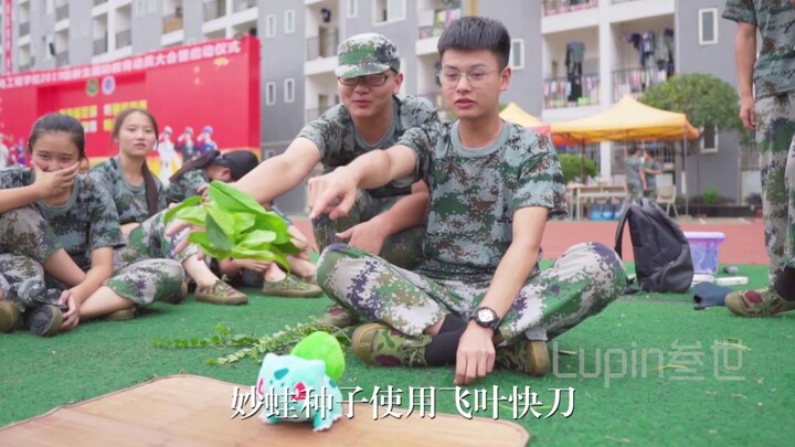 决定了就是你了 妙蛙种子使用飞叶快刀
