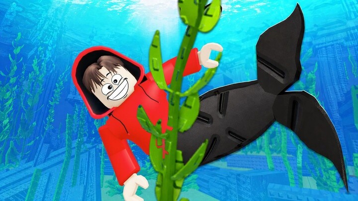 Yuta, Mio Dan Baby Celine Menyelam Untuk Isi Aquarium Baru  ROBLOX
