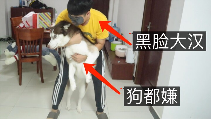 The owner paints their face black to scare the Husky—how will the Husky react?