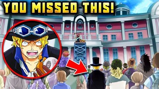 100 Secrets In One Piece You Probably Missed