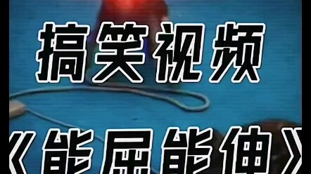 Khỉ: Mở rộng tầm nhìn! Hồi đó anh trai khỉ của tôi lúc nào cũng biết “cúi xuống khi cần, vươn lên kh
