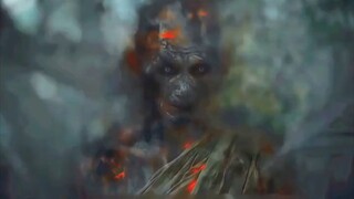 曼谷寓言--一场杀戮获得百年诅咒