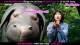 chú Heo khổng Lồ và cô bé Tốt bụng - review phim Siêu Lợn Okja