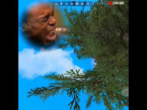 Kỹ năng Kỹ năng 😂😂