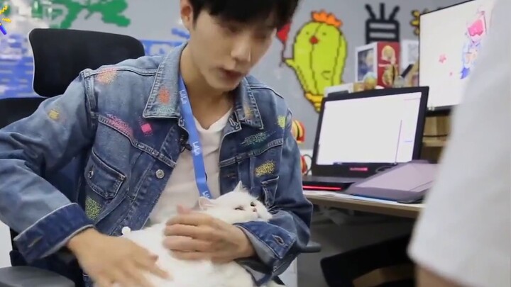 [Xiao Zhan petting cats VS catching rabbits], what is the psychological shadow area of the rabbit?
