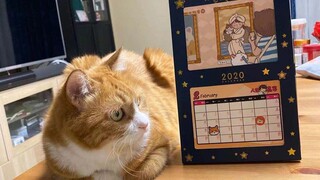 The status of Xiao Mi and Da Mi is hanging by a thread! What has Aunt Jiang praising them repeatedly