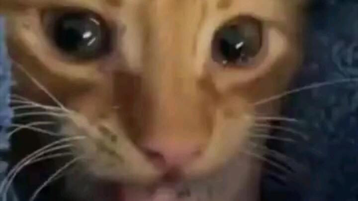 ضربتك أمك بشدة أمام الأقارب، ثم نادت عليك لتأتي إلى المائدة وتأكل.