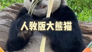 The People’s Education Press edition features a panda, while the Bear Edition has a bear—I spotted t