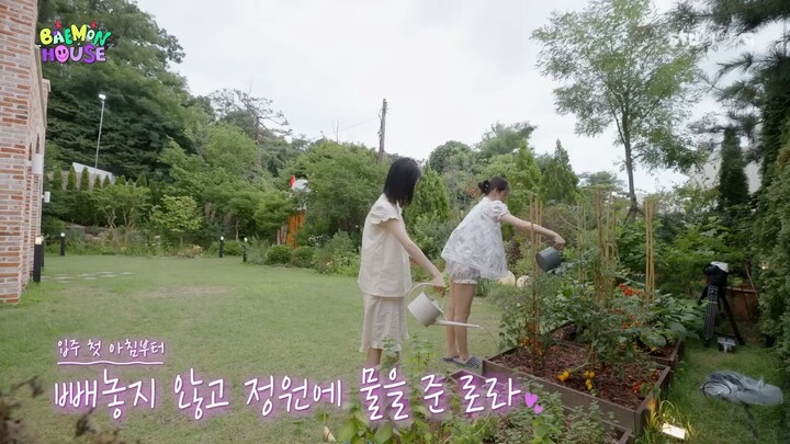 [ENG SUB] BAEMON HOUSE EP.8