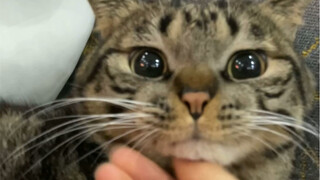 คุณน่ารักเหมือนคนโรคจิตเลย!