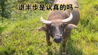 大大的眼睛，满满的疑惑