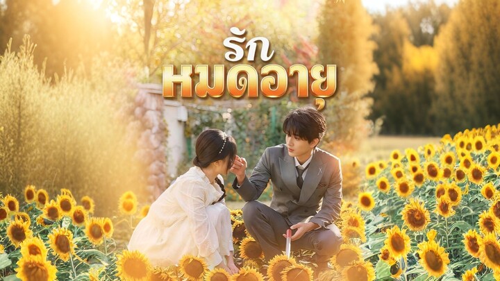 [ดูฟรีเต็มเรื่อง] รักหมดอายุ (ซับไทย)