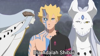 Boruto Episode 295 Subtitle Indonesia Terbaru - Boruto Two Blue Vortex 4 Part 59 Nuansa Membara