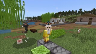 Minecraft / Helping The Flooded Lands | Disaster Defence By ShapeScape Part 2