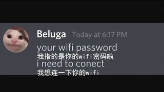 [Beluga和他的小伙伴] 蹭wifi的猫咪有大麻烦！