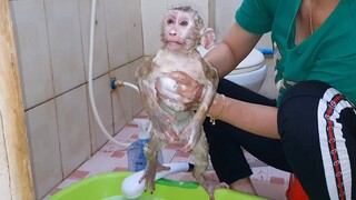 Mom Routine Take The Bath For Big Monkey Sono