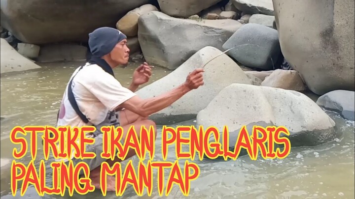 strike ikan paling mantap #shorts