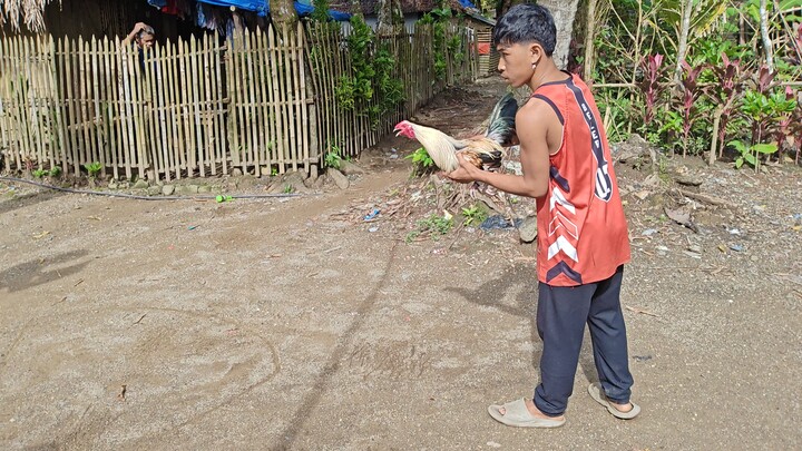 (Lose) Talisay Bawe Bawe