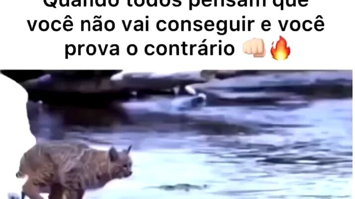Motivação