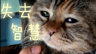 Consciousness gradually fades in human arms