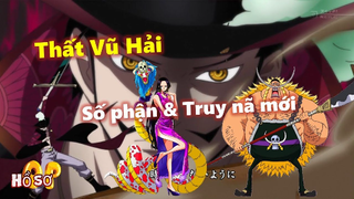 Tất tần tật về Thất Vũ Hải: Số phận & Truy nã mới! #onepiece