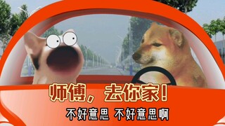 师傅，去你家！