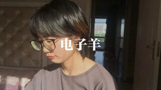 电子羊-某幻君/中国BOY（cover）