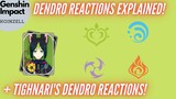Dendro Elemental Reactions Explained + Tighnari Sneak Peak Analysis!