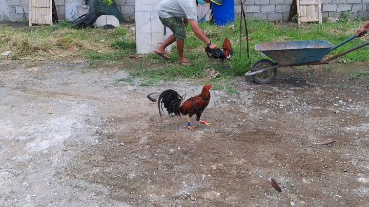 spar muna tayo