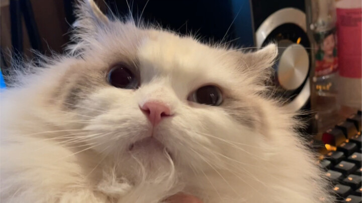 «Hóa giải hiểu lầm»