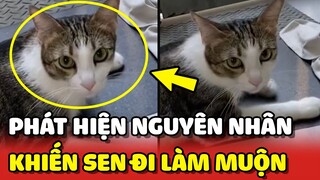 Phát hiện nguyên nhân khiến con Sen ĐI LÀM MUỘN mỗi ngày 😂 | Yêu Lu