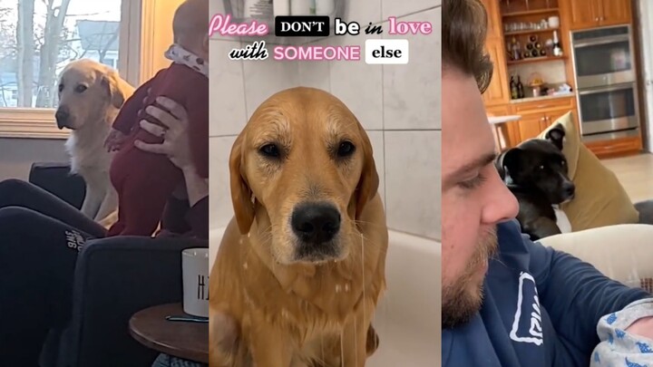 Isn’t one dog of mine enough?
