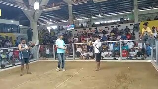 2nd fight win champion